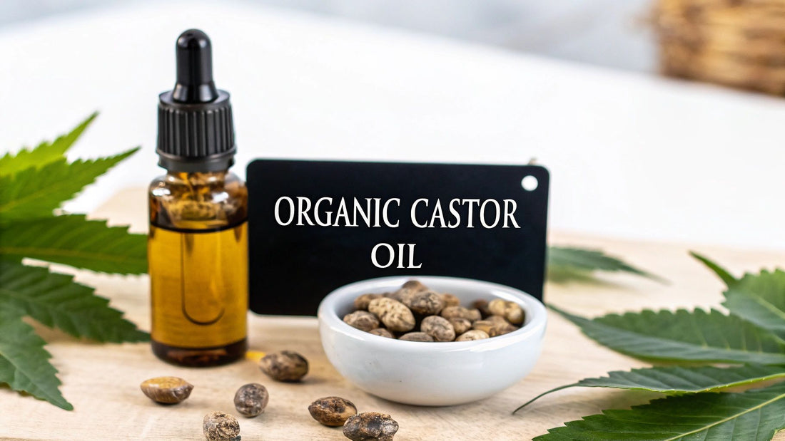Your Definitive Guide to Organic Castor Oil Uses