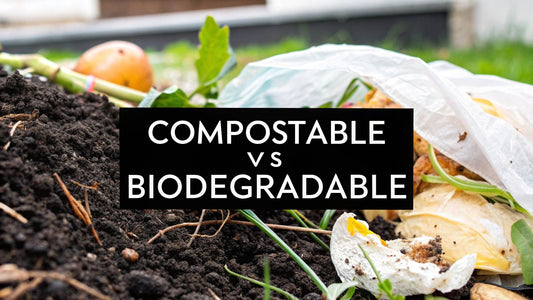The Uncomfortable Truth About "Eco-Friendly" Labels: Compostable vs. Biodegradable