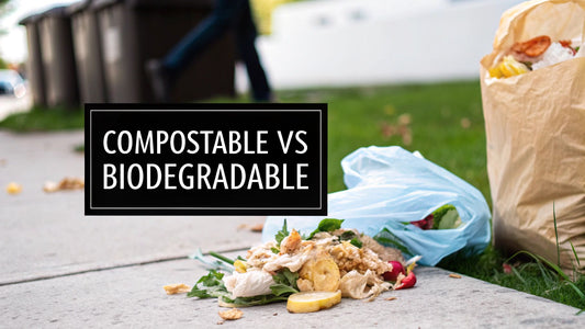 Compostable vs Biodegradable Bags: The Truth You Need to Know