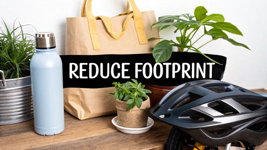 How to Reduce Your Environmental Footprint and Why It Matters More Than Ever